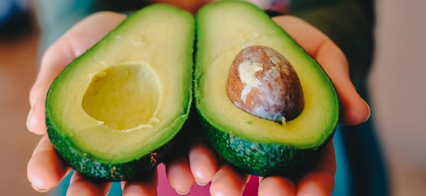 ¿Como Exportar Aguacate Desde México – Requisitos